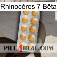 Rhinocéros 7 Bêta levitra1